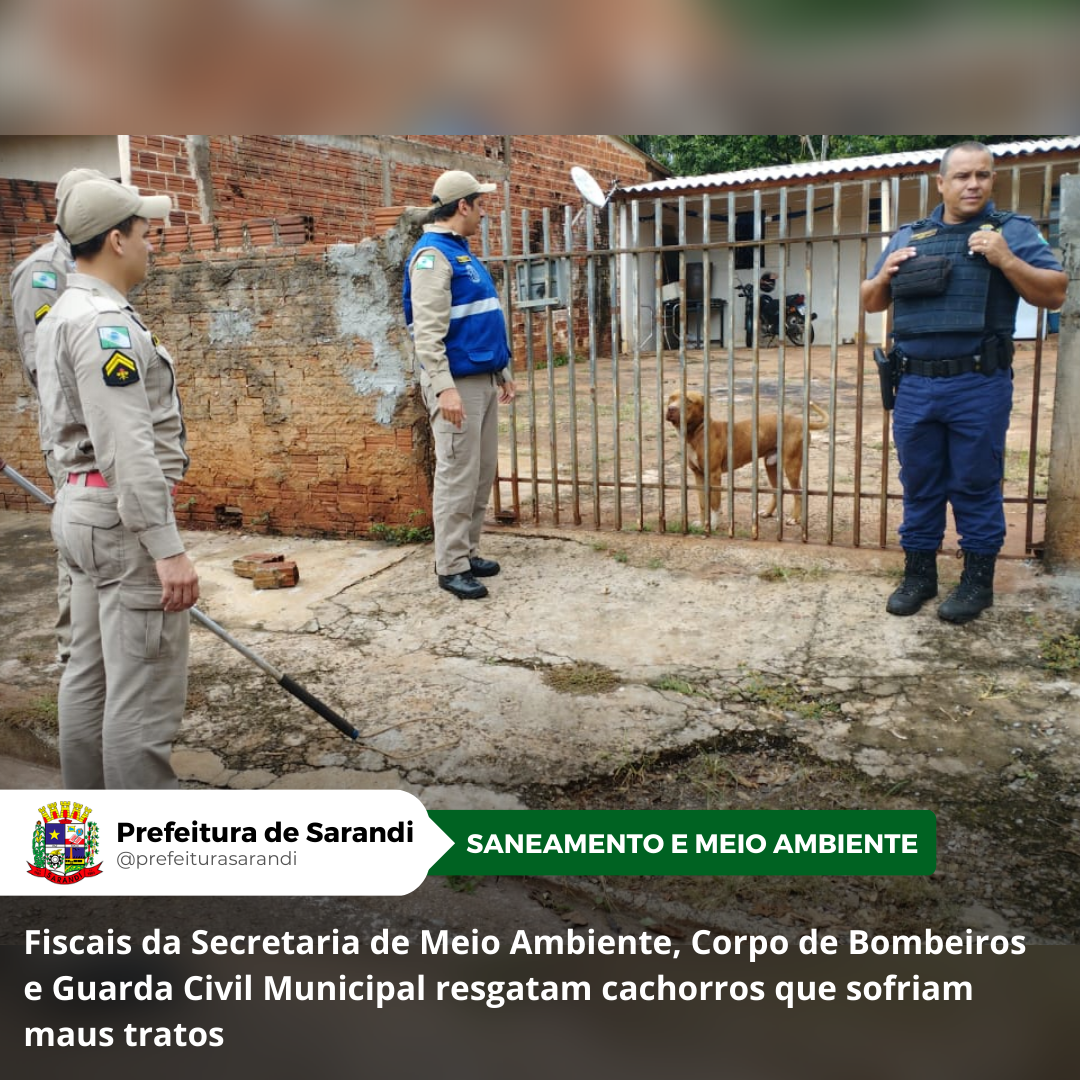 Fiscais da Secretaria de Meio Ambiente, Corpo de Bombeiros e Guarda Civil Municipal resgatam cachorros que sofriam maus tratos